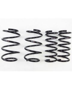 RS-R Down Suspension Lowering Springs Nissan Altima L33 13-18